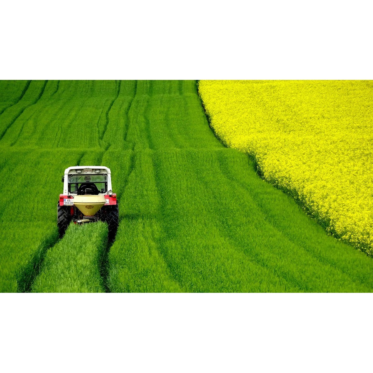 FSSC 22000, ISO 22000, HACCP Requirements