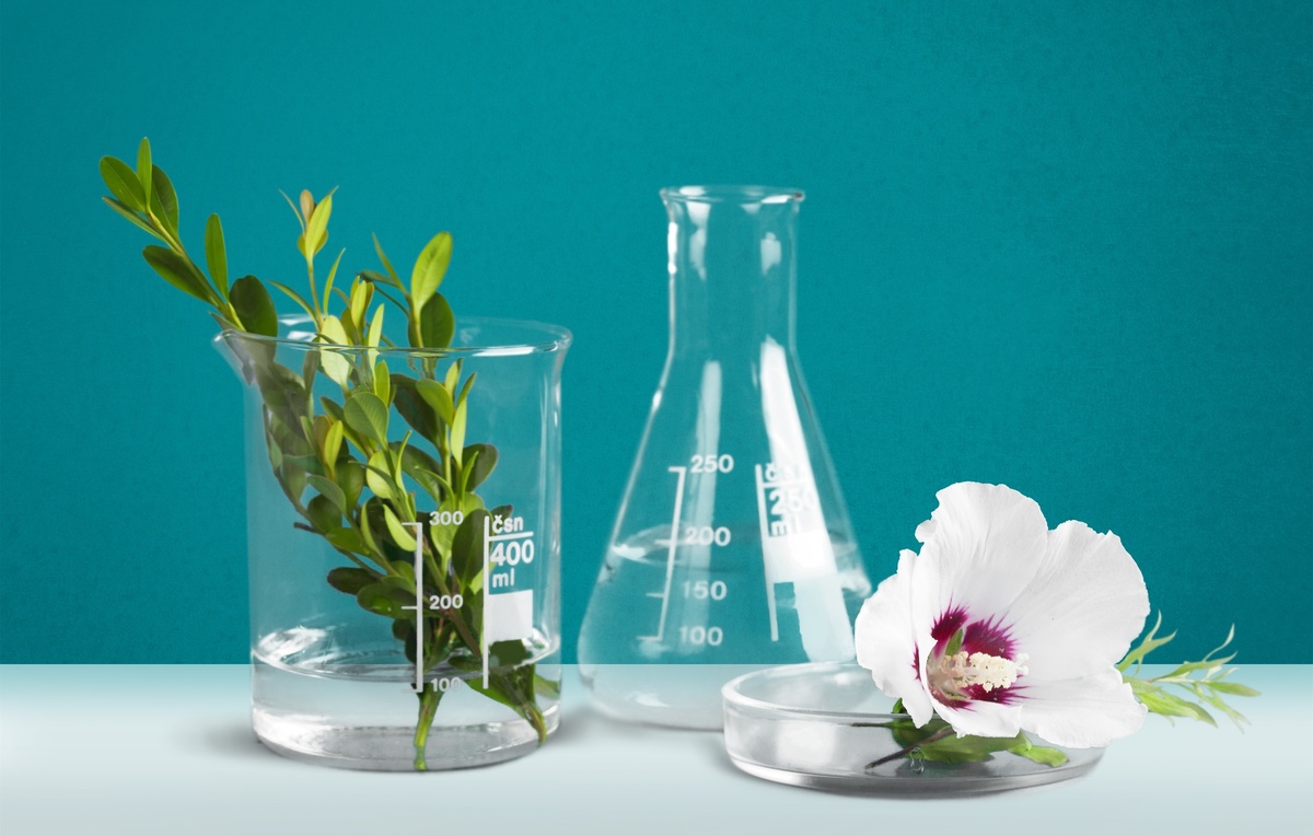 GMP - Cosméticos Requirements